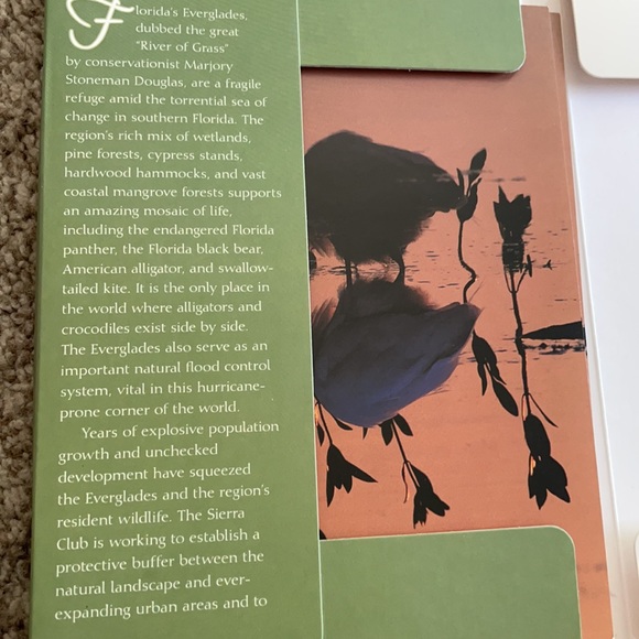 Greeting cards!!! Nature and sarcastic - Picture 11 of 14